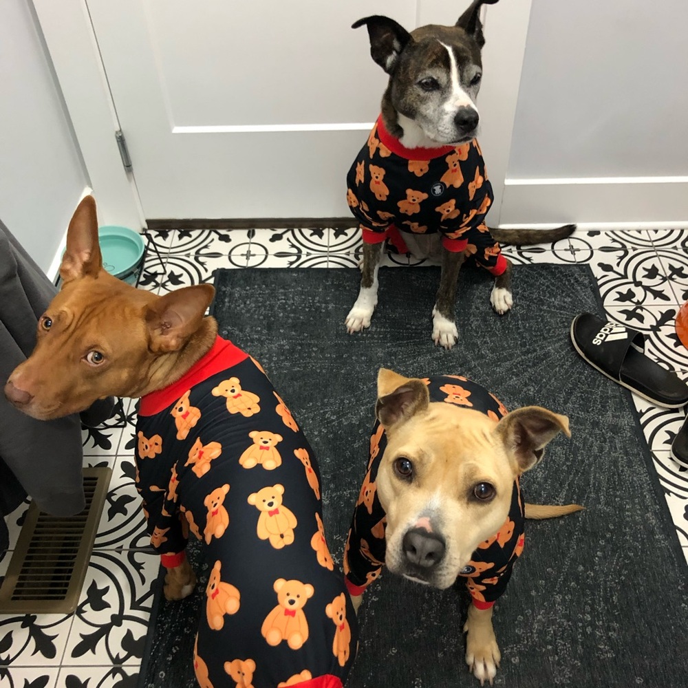 Pittie Clothing Company matching PJ sets. PRICE PER ITEM